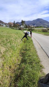 Lemberg 2